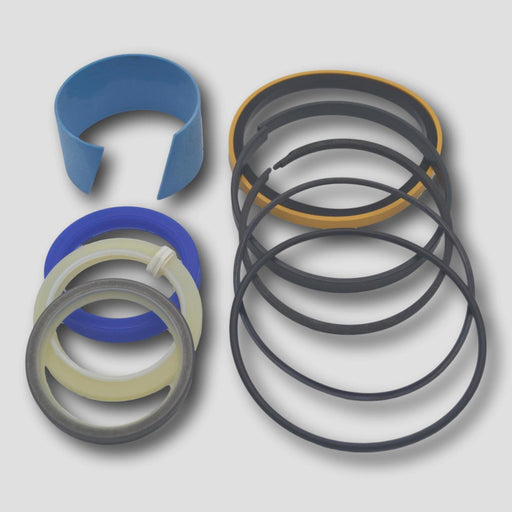 Case Seal Kit MPN 234844A1