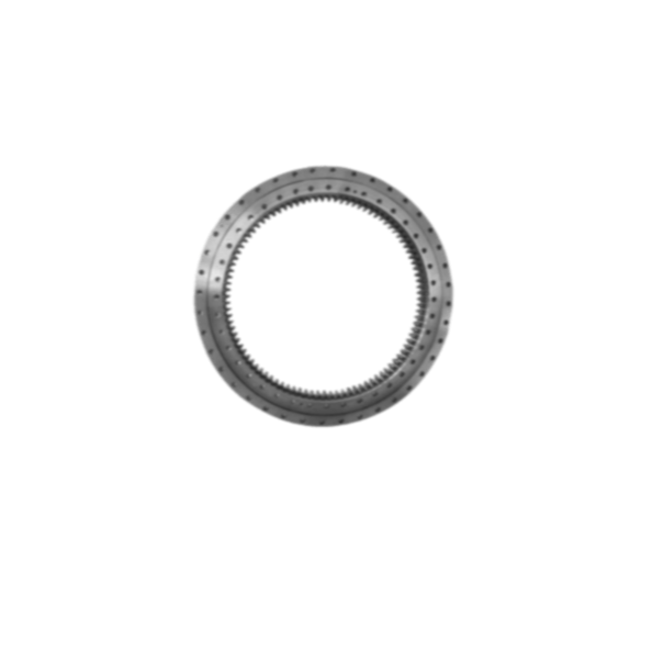 Popular Products Slewing Ring